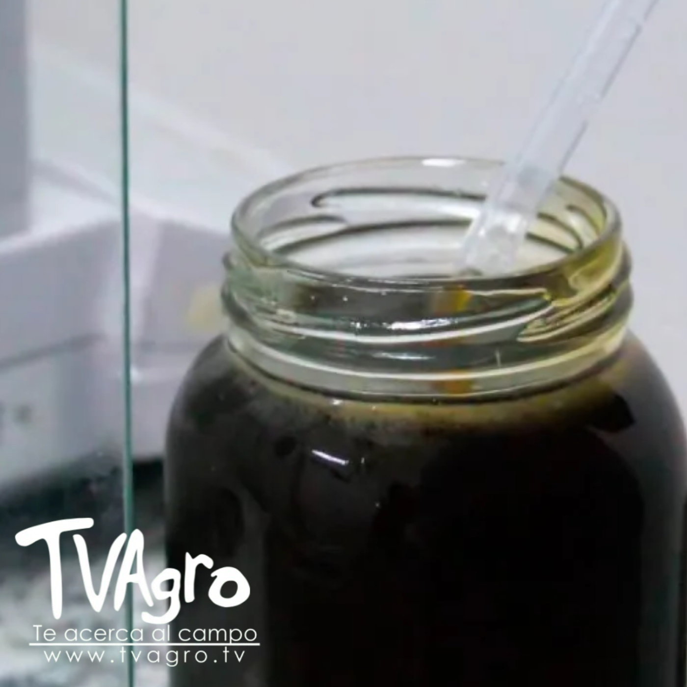 TV AGRO