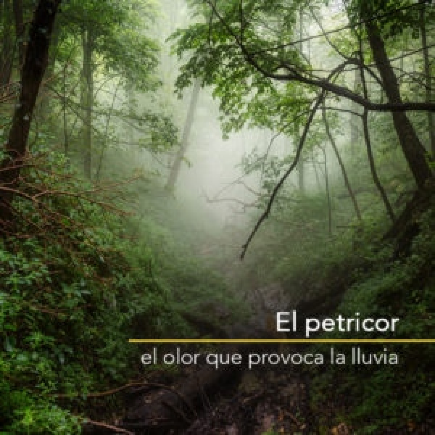 Podcast COPE PINARES