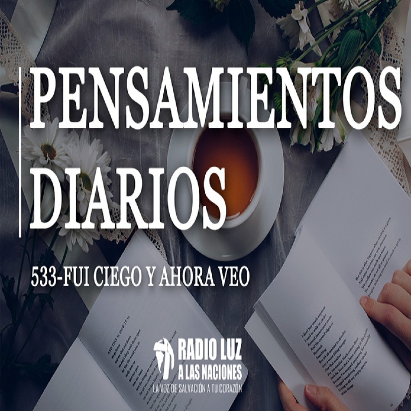 Pensamientos diarios