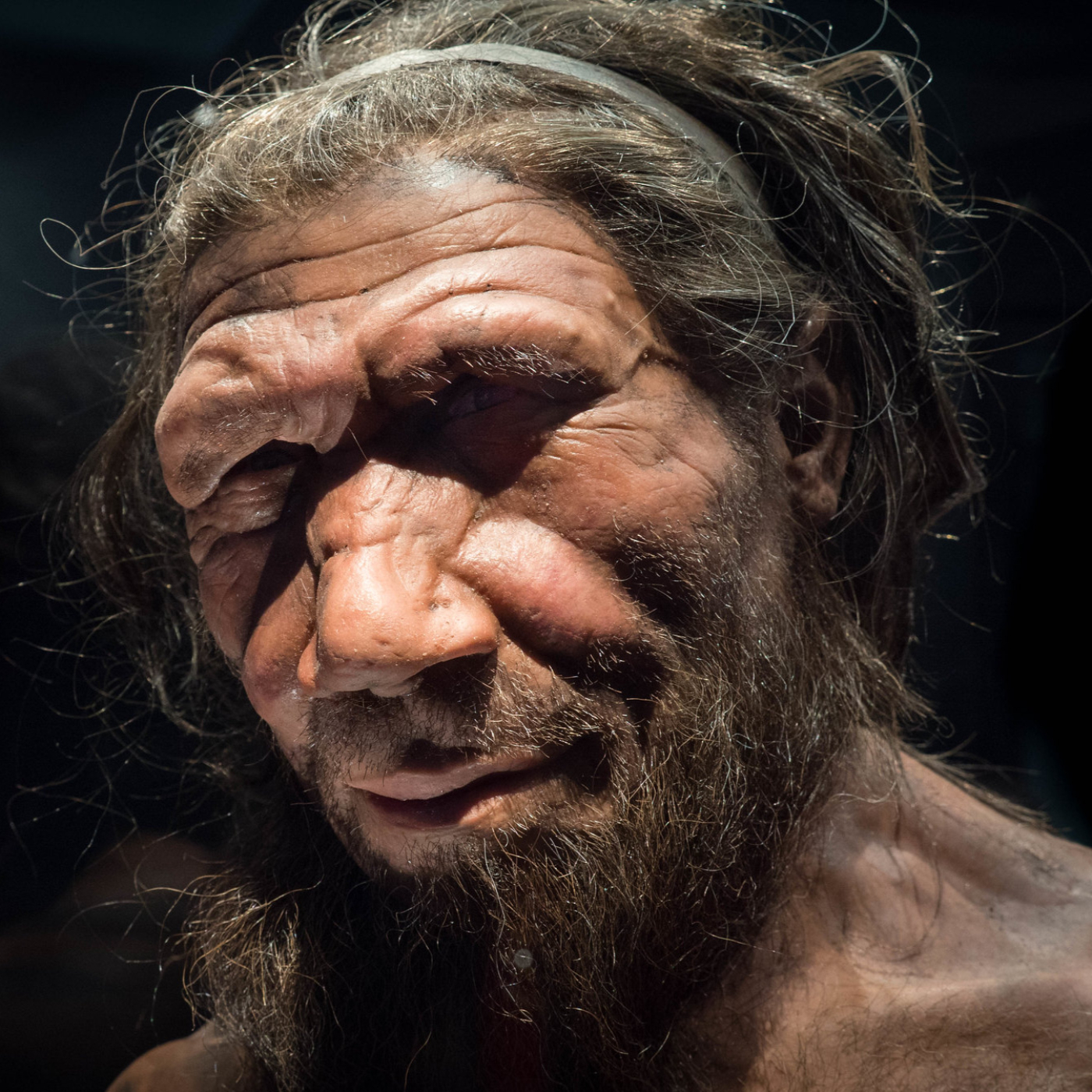 Thorin, el último Neandertal