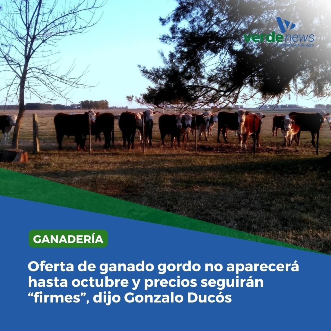 Gonzalo Ducós - Director de Agrofocus - 31/07/24 episode artwork