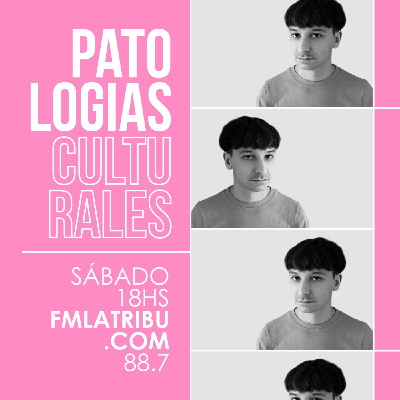 Patologías Culturales