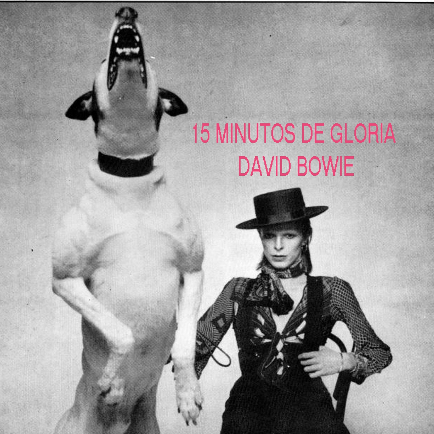 15 Minutos de Gloria