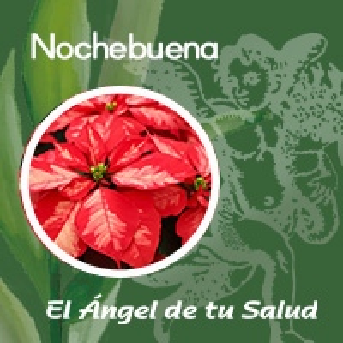 El Ángel de tu Salud - Nochebuena** episode artwork
