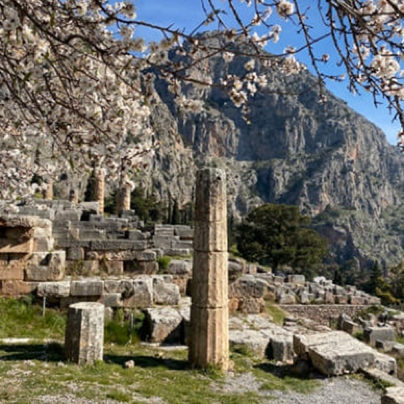 SN 322: La filosofía platónica como vía espiritual (con Javier Gay-Velilla, de Huparxis)