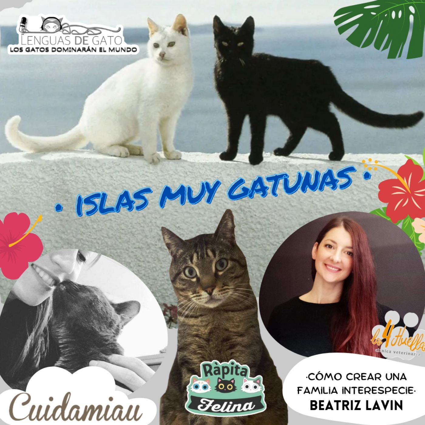 LOS GATOS DOMINARÁN EL MUNDO
