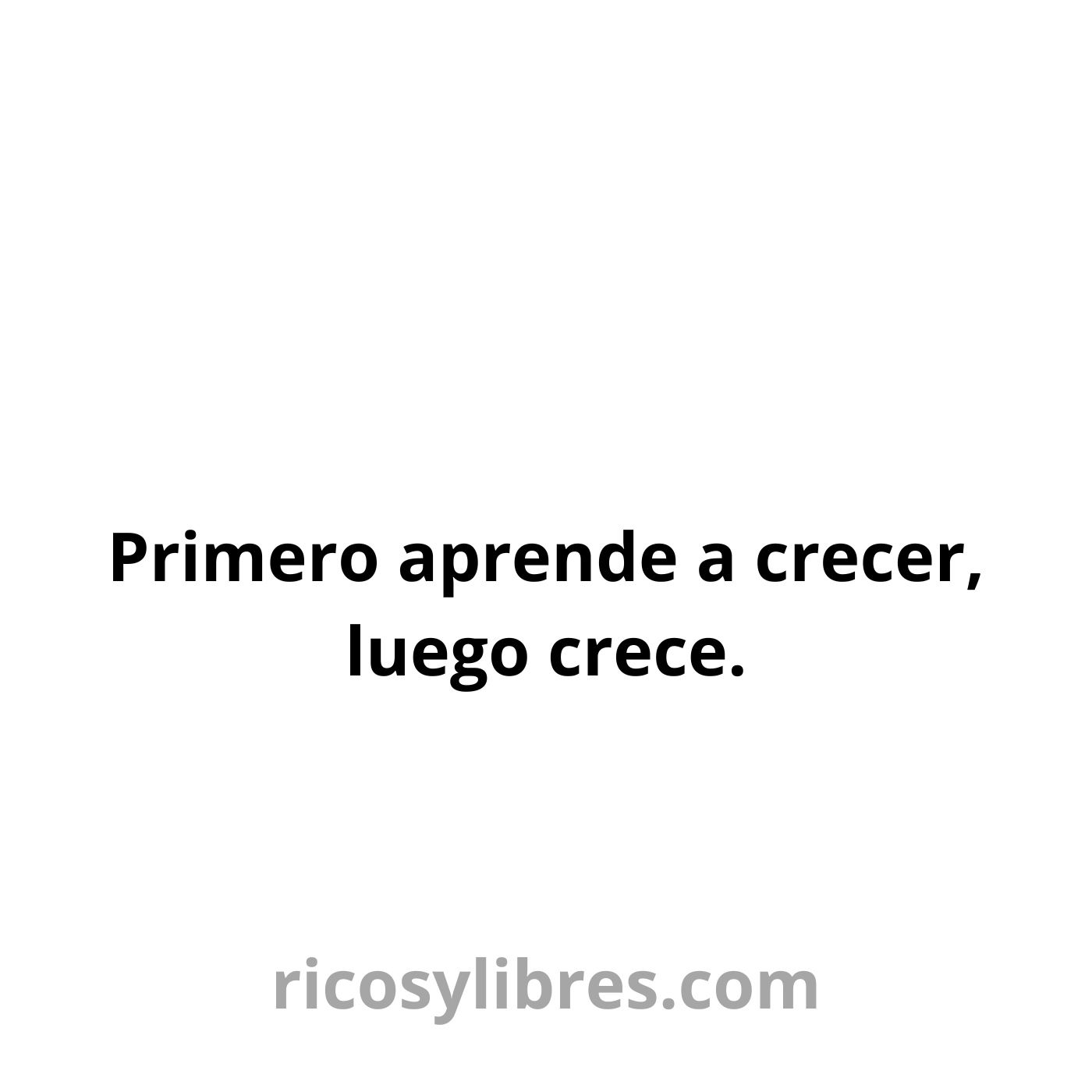 Ricosylibres.com