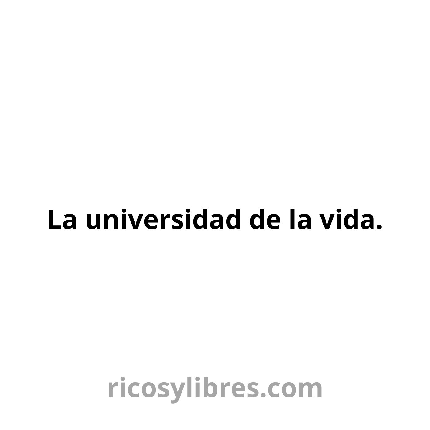 Ricosylibres.com