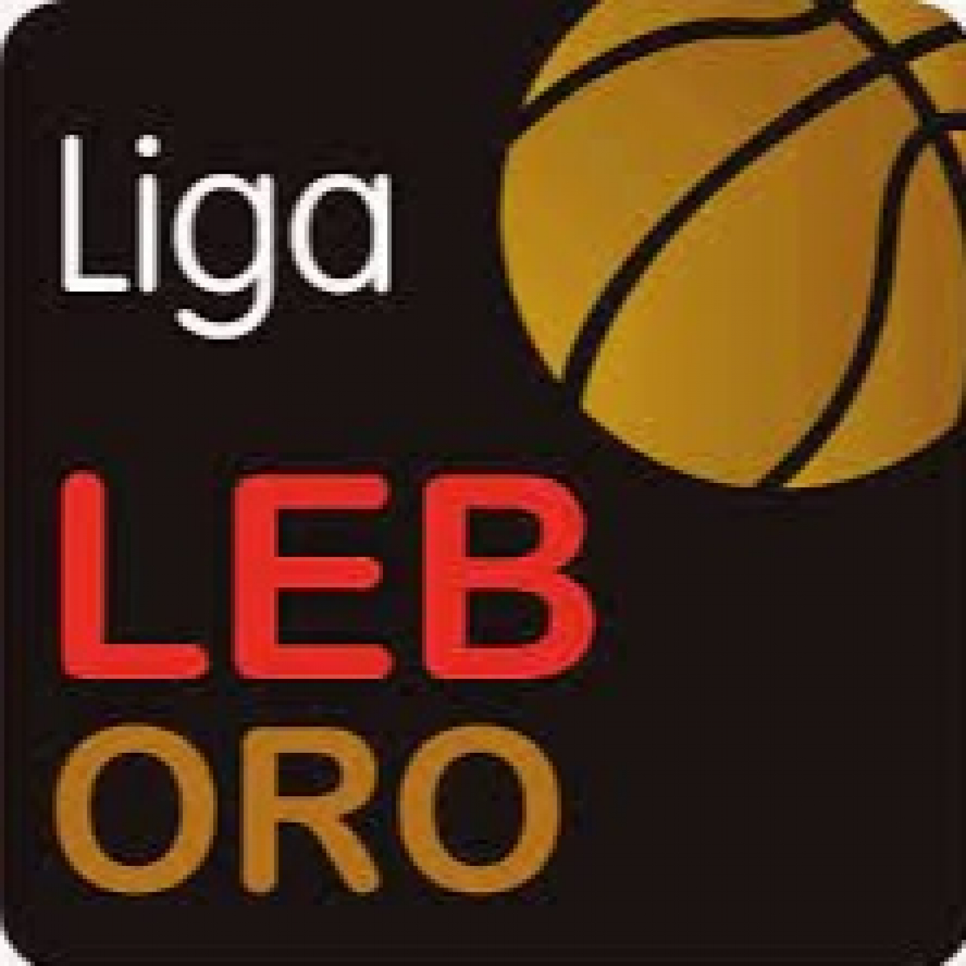 Pasión Por El Baloncesto