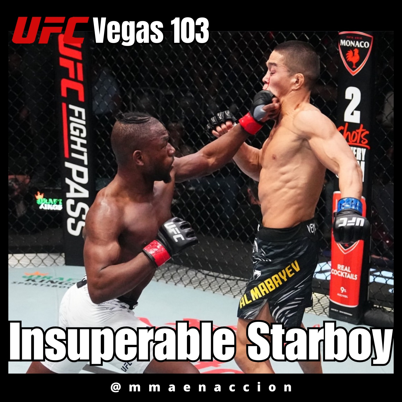 MMA en acción