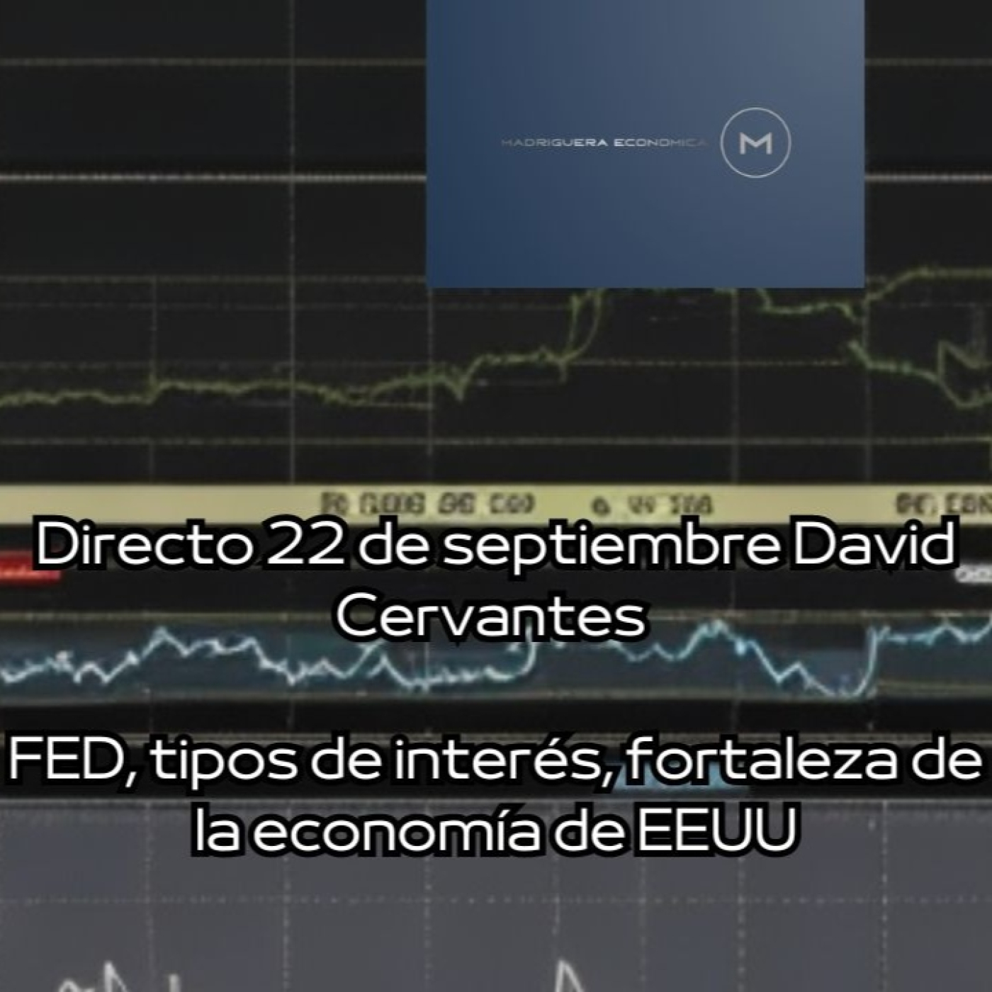 La madriguera económica