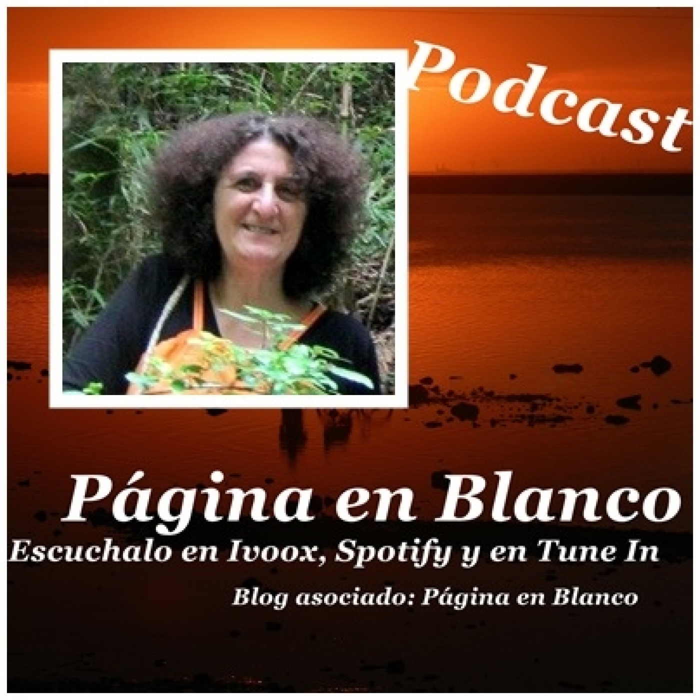 Página en Blanco