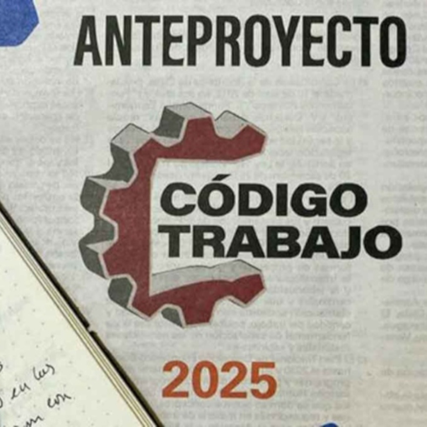 Anteproyecto del Código de Trabajo preserva derechos de las trabajadoras cubanas
