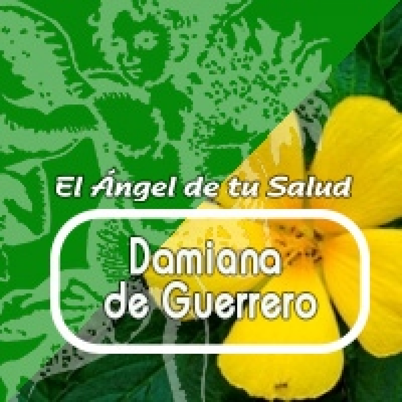 El Ángel de tu Salud - DAMIANA DE GUERRERO ** episode artwork
