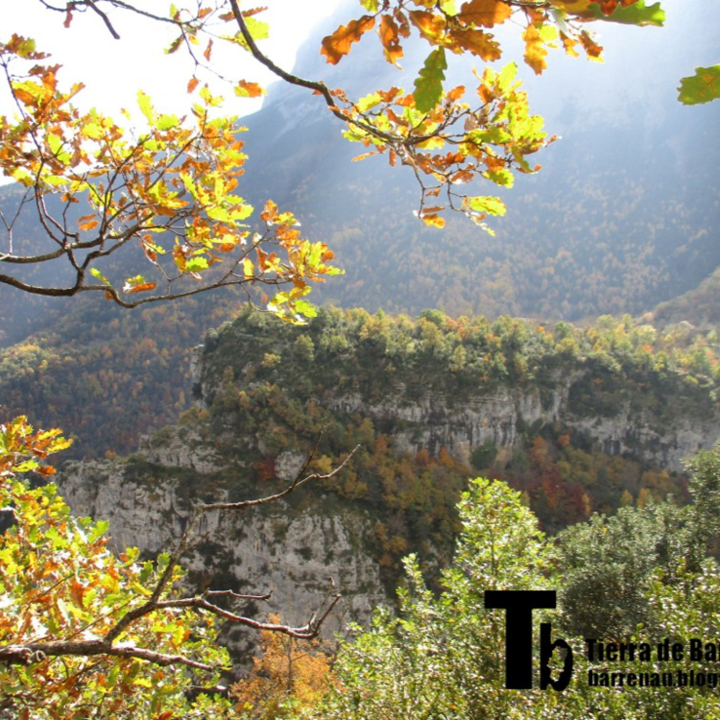 Tierra de barrenaus