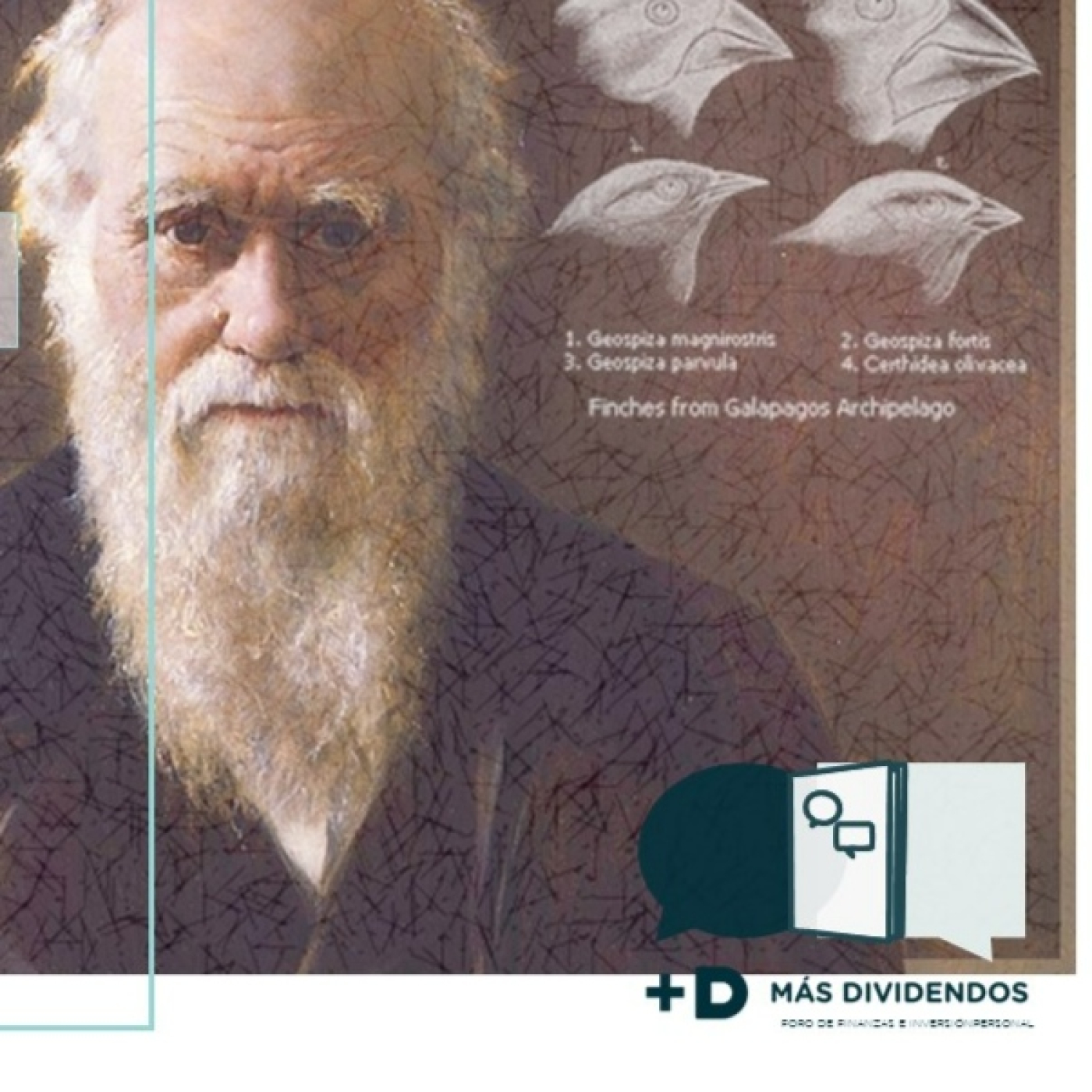 Masdividendos