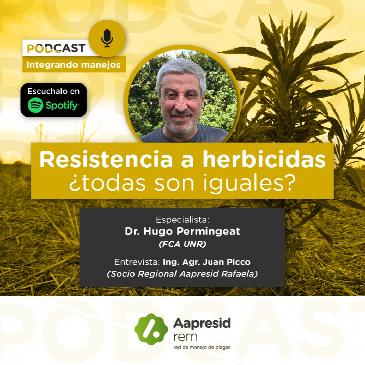 Integrando Manejos