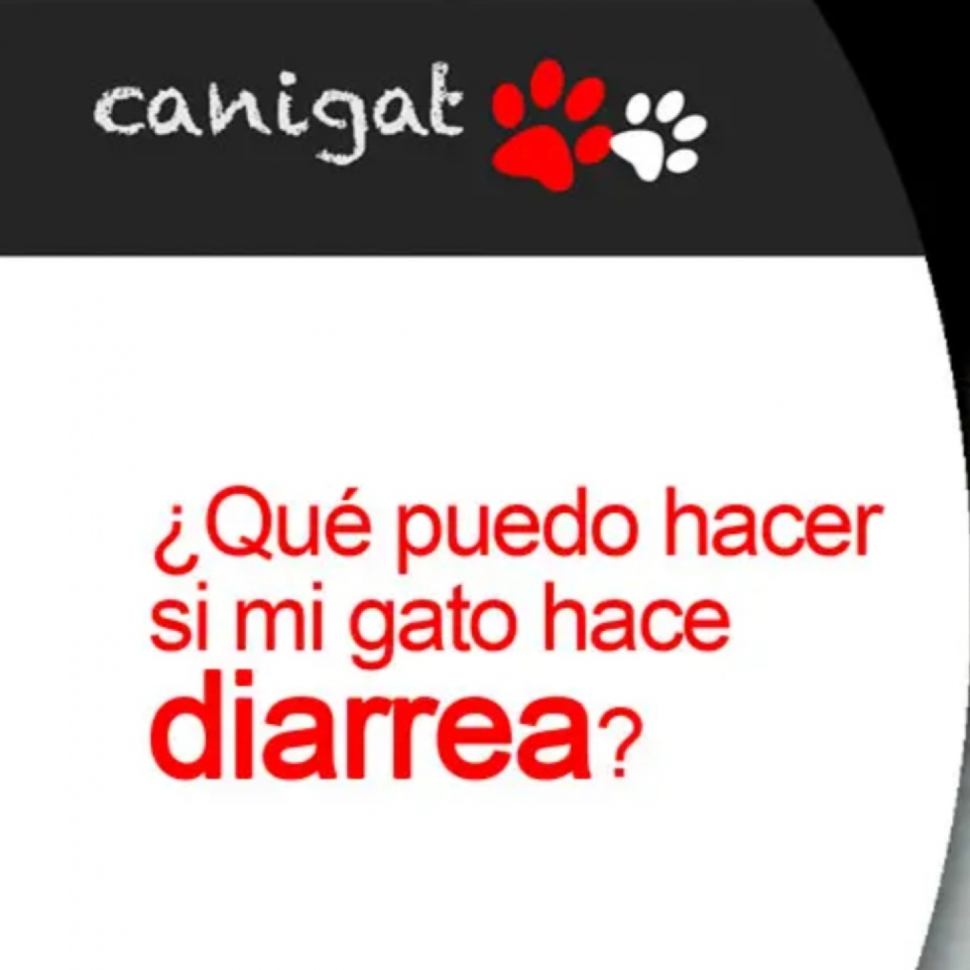 Consejos veterinarios de perros y gatos by canigat