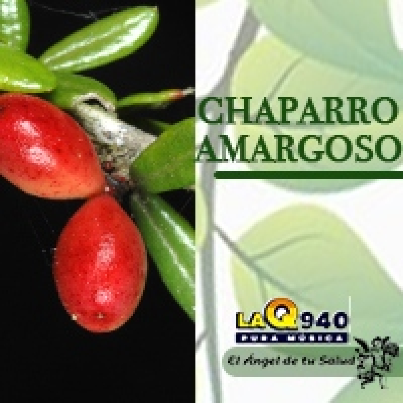El Ángel de tu Salud - Chaparro Amargoso** episode artwork