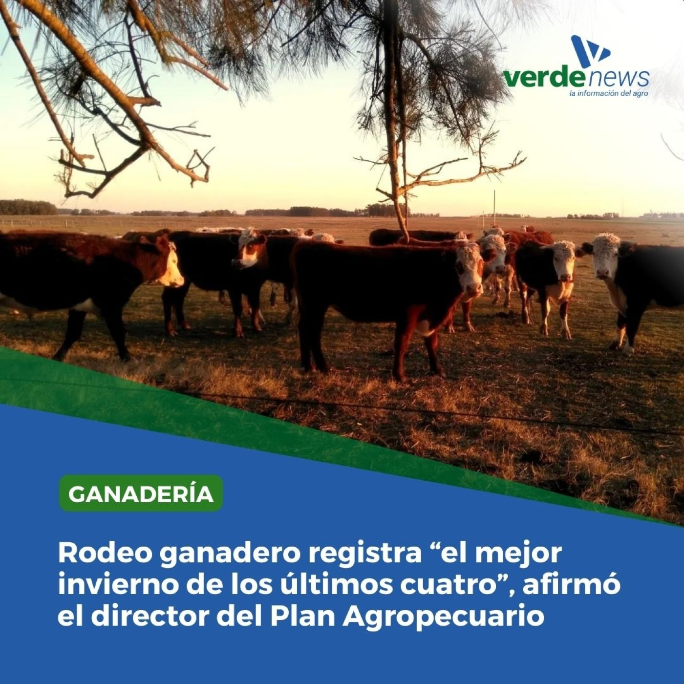 Carlos Molina - director del Instituto Plan Agropecuario 16/09/24 episode artwork