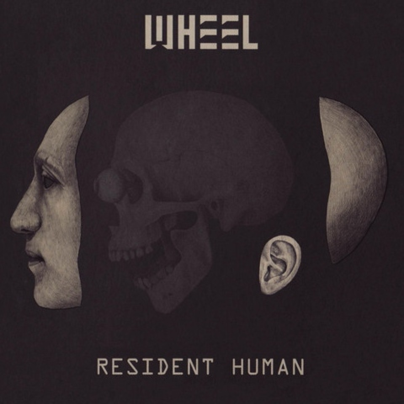 1005 - Wheel - Resident Human2021 episode artwork