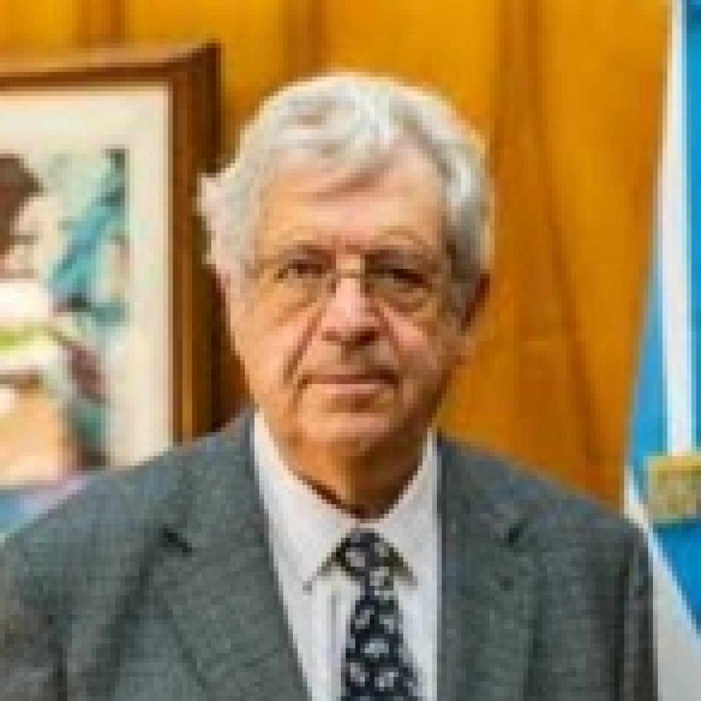 Programas FM Milenium