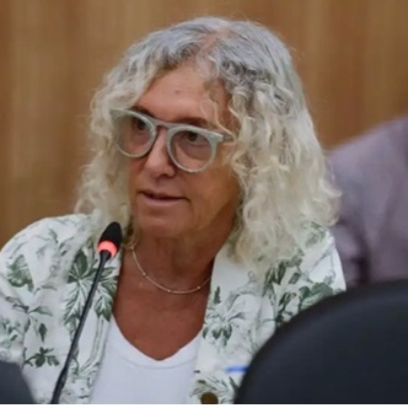 Monica Frade, Diputada Nacional por la Pcia. Bs As. Coalición Cívica @MonicaFradeok @JoaquinMugica @MarianoBoettner