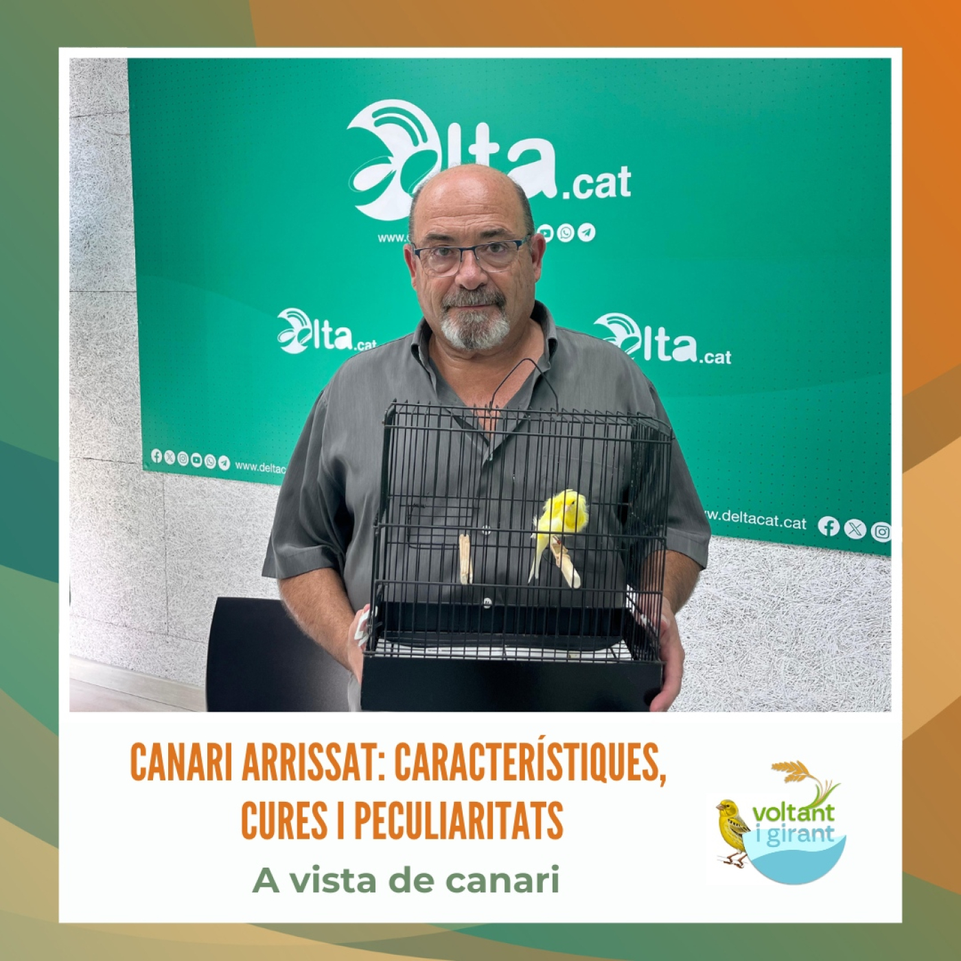 Canari arrissat: característiques, cures i peculiaritats episode artwork