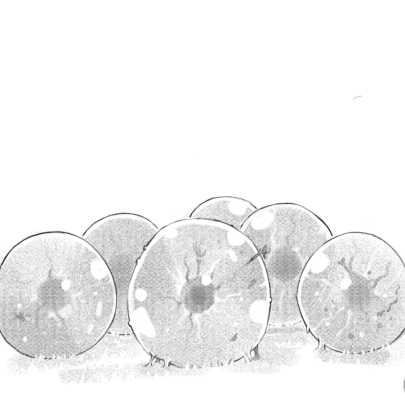 Oliver Ray Audiolibros