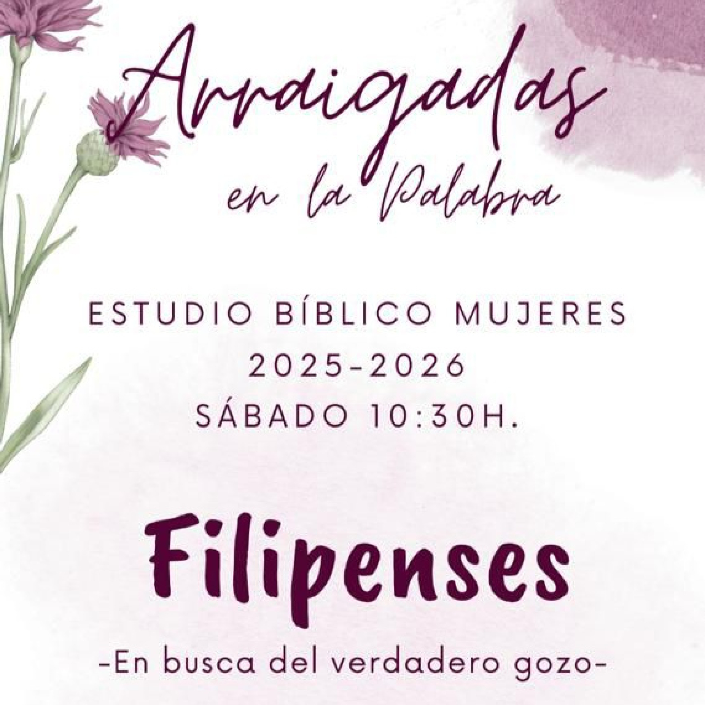 Arraigadas en la Palabra