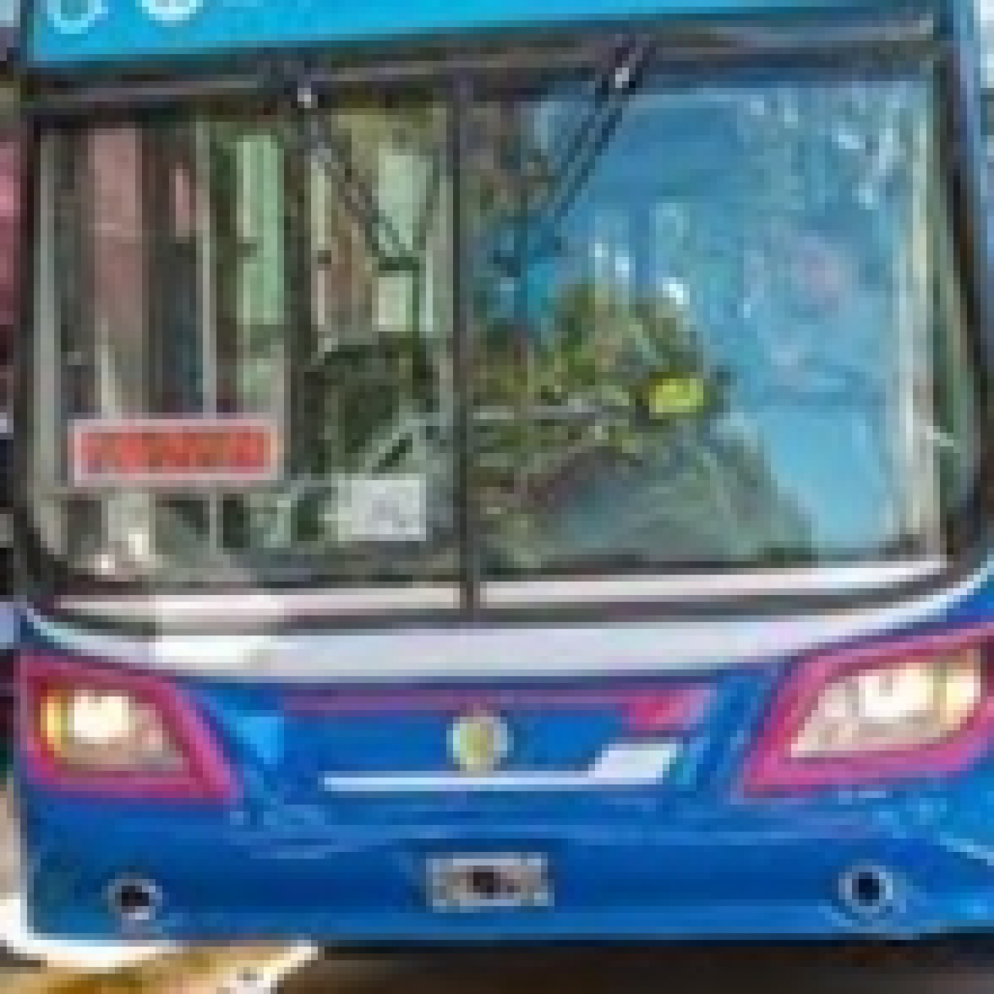 Lisandro Benito El gobierno local explico la situación de transporte público en nuestra ciudad episode artwork