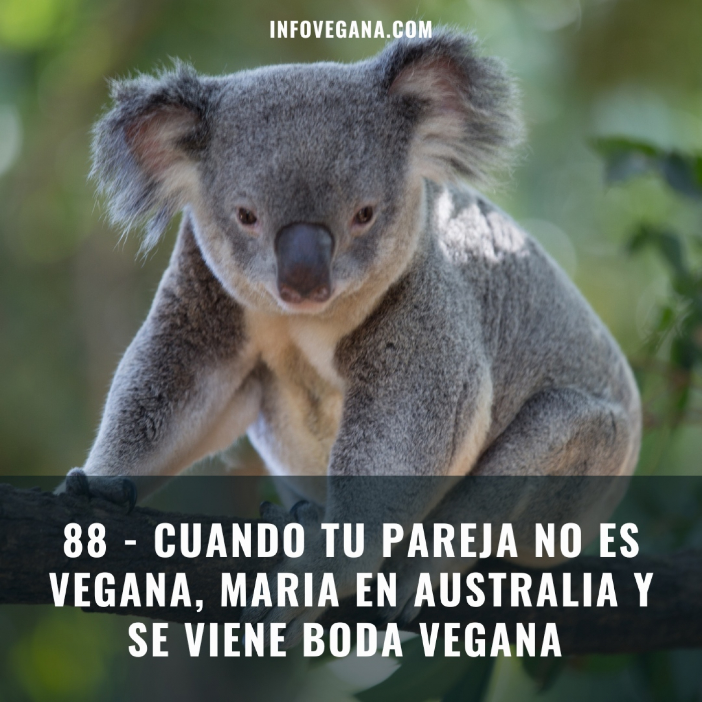 Infovegana, podcast de veganismo y sostenibilidad