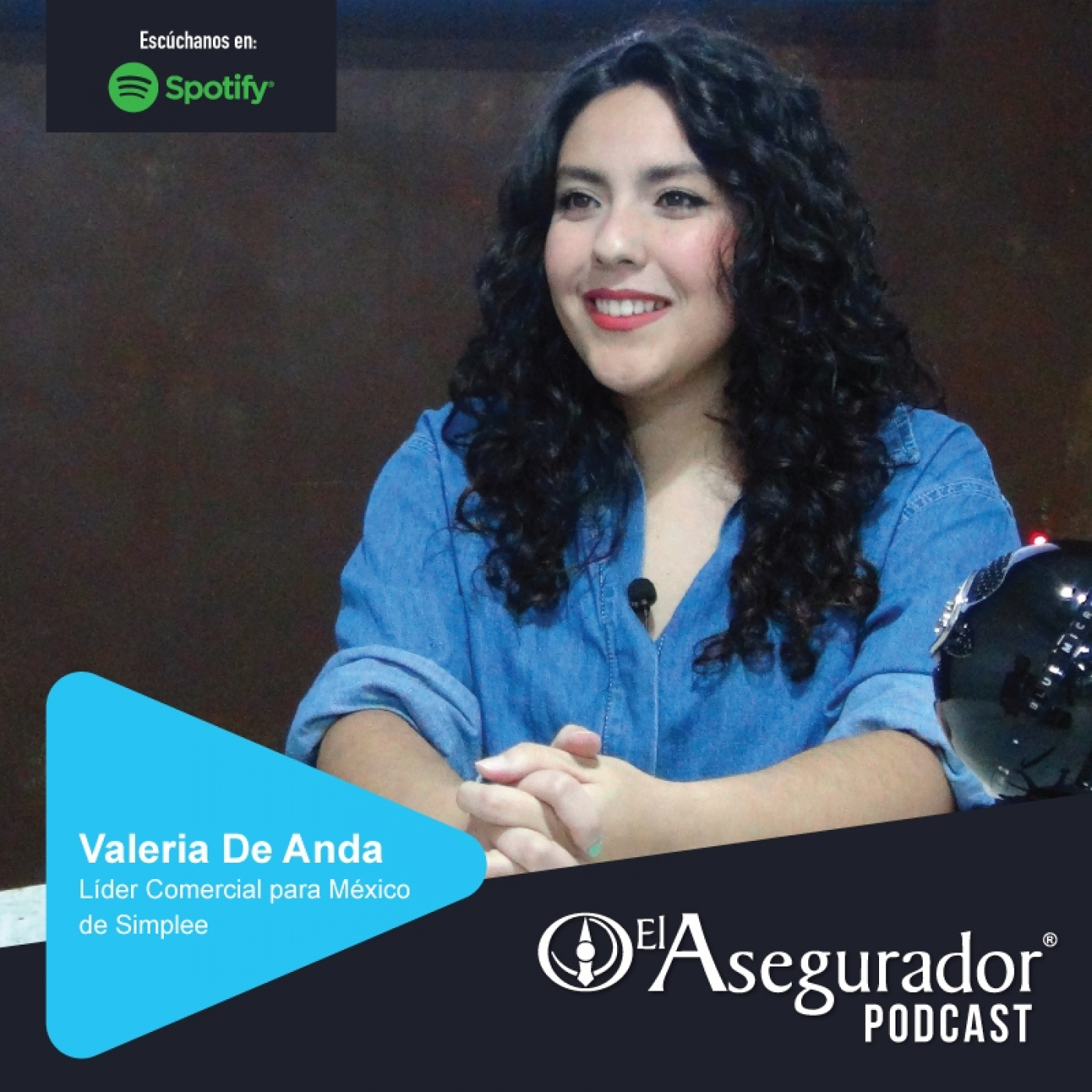 El Asegurador