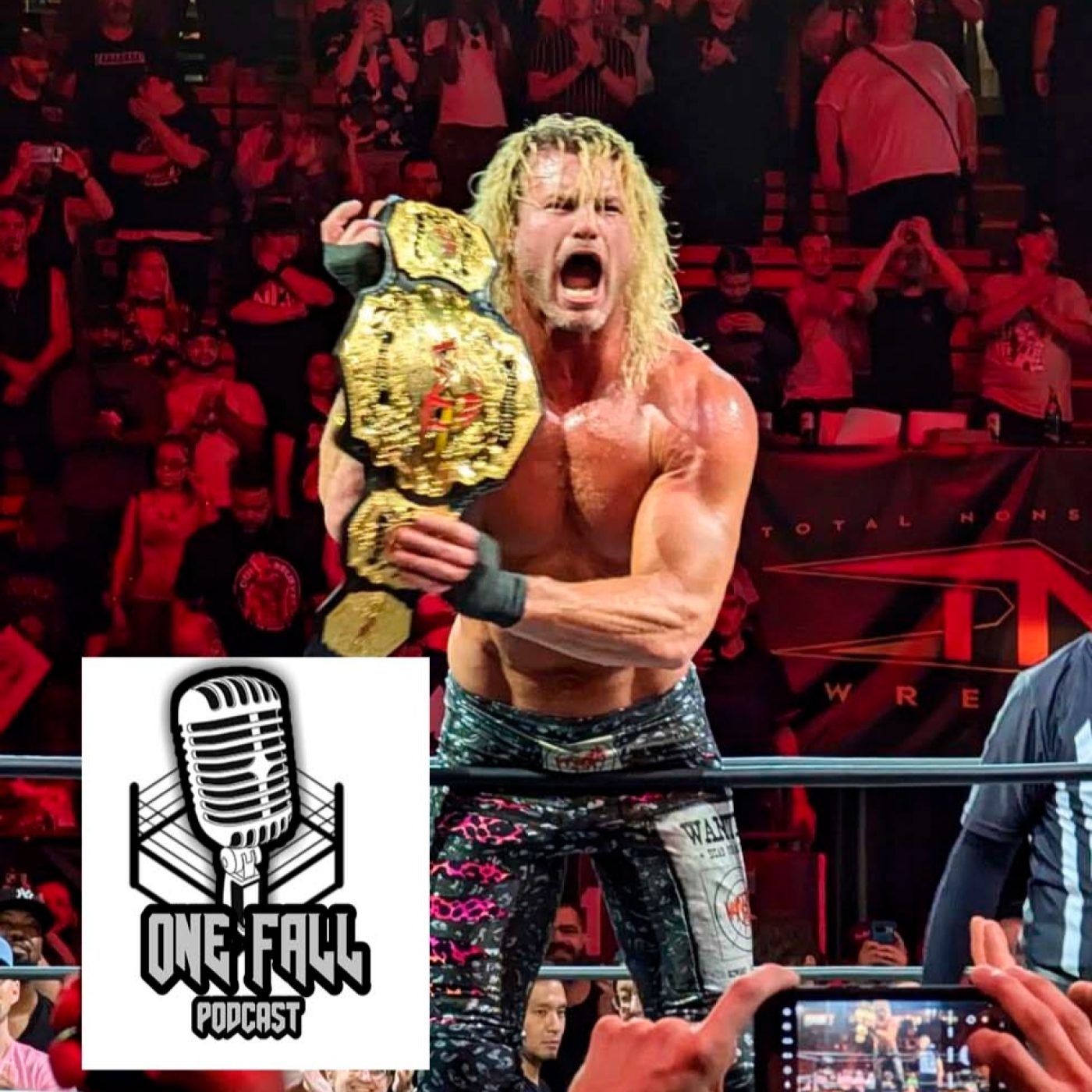 One Fall Podcast # 191 - Dilemas y mas dilemas en WWE episode artwork