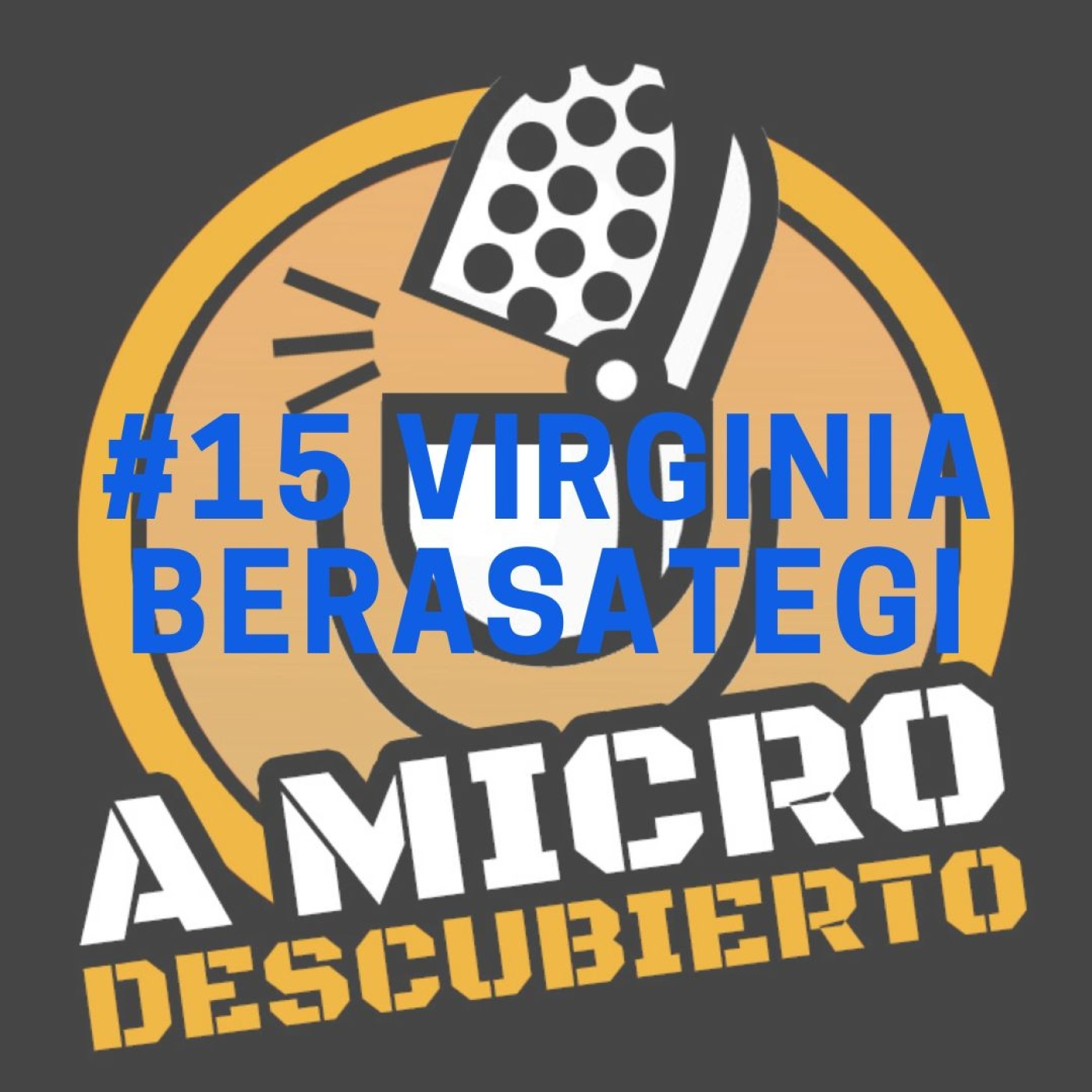 A Micro Descubierto