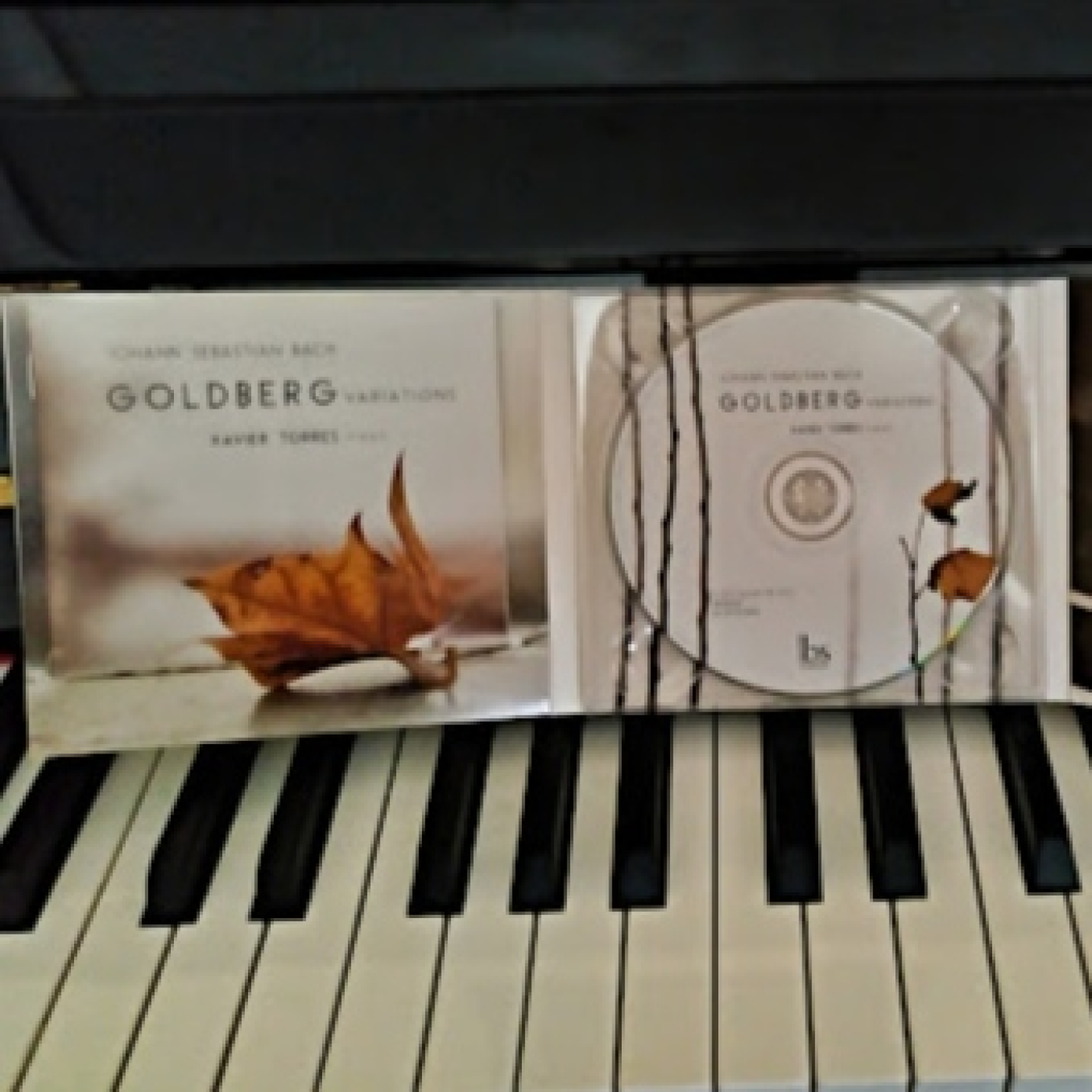 El Musiquer
