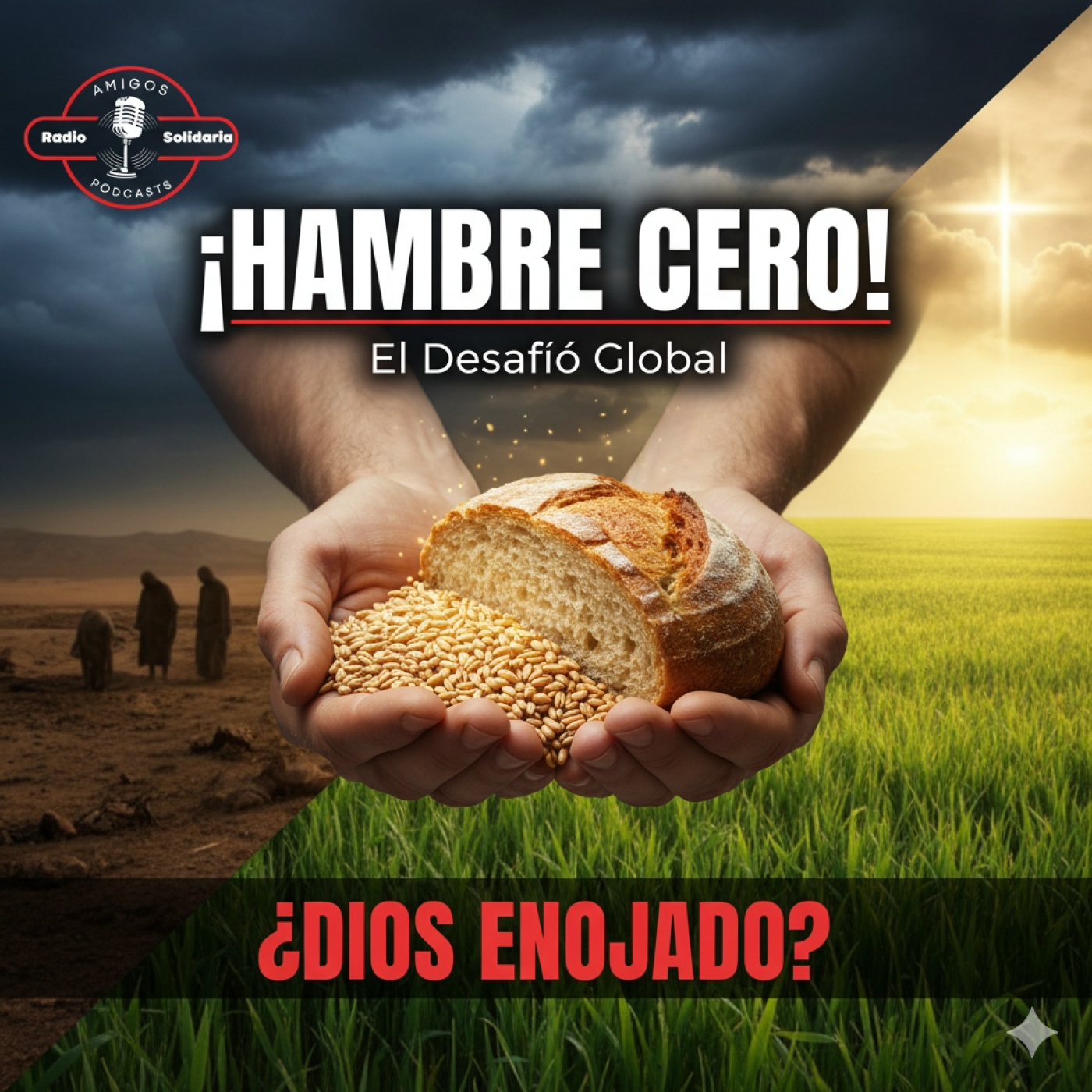 Amigos en Radio Solidaria