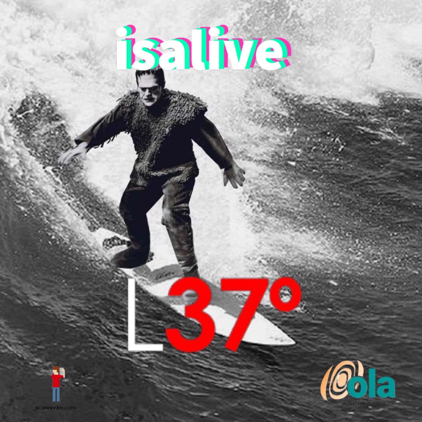 Latidos37