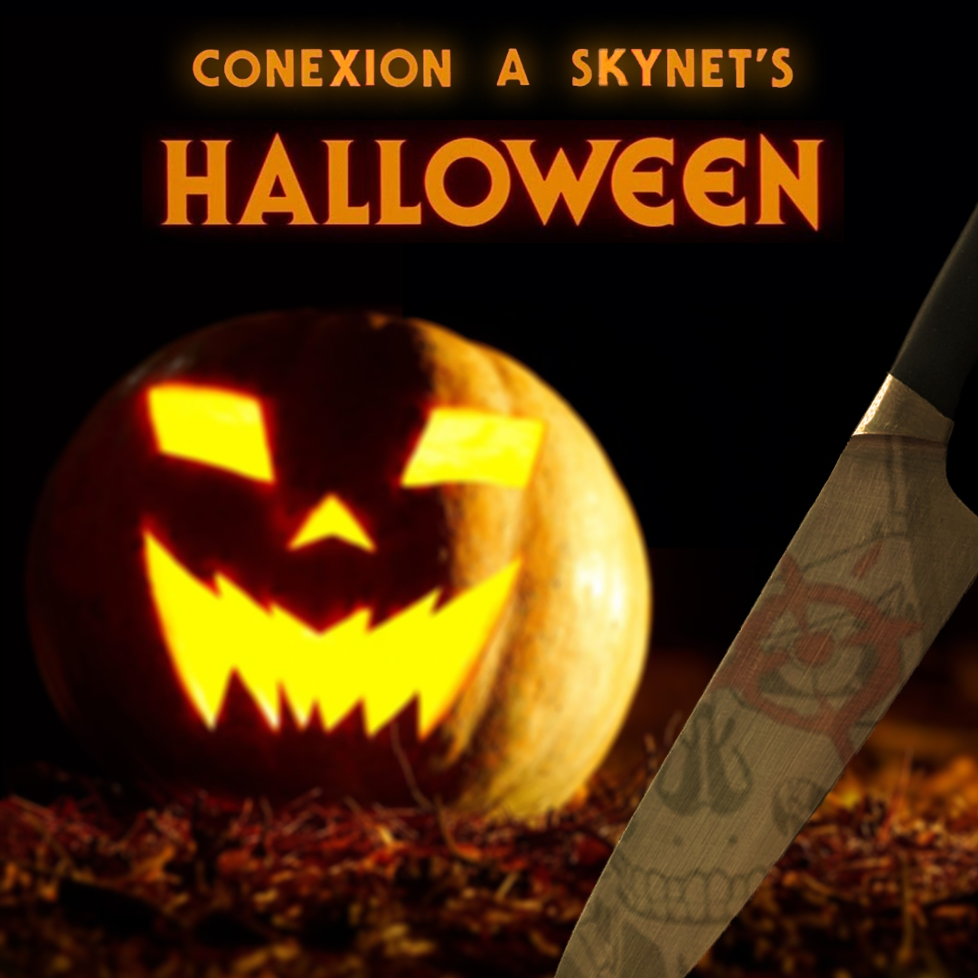 CONEXIÓN A SKYNET