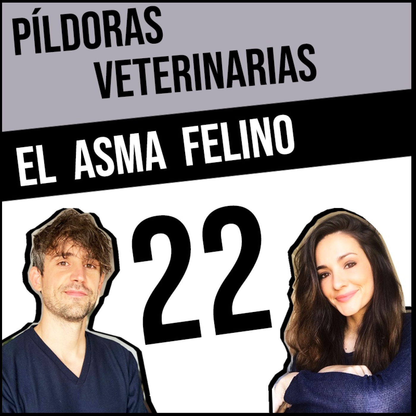 Píldoras Veterinarias