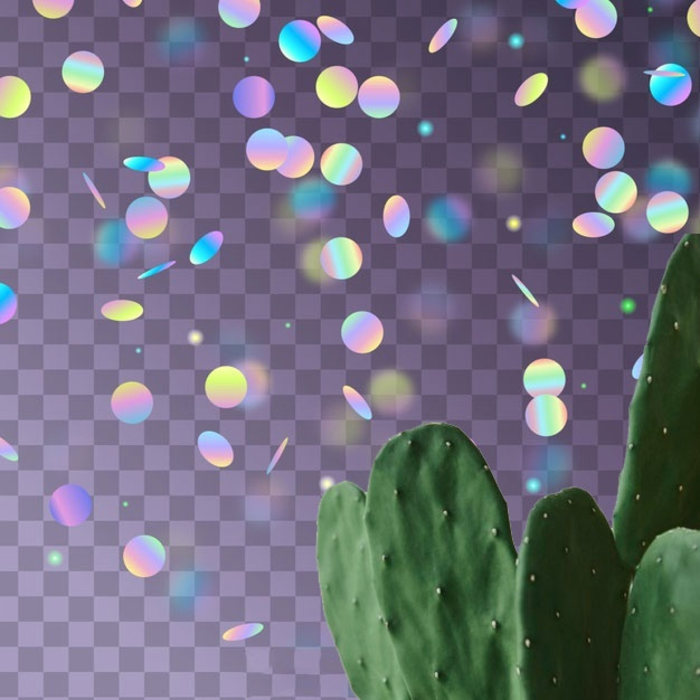 Cactus Confetti