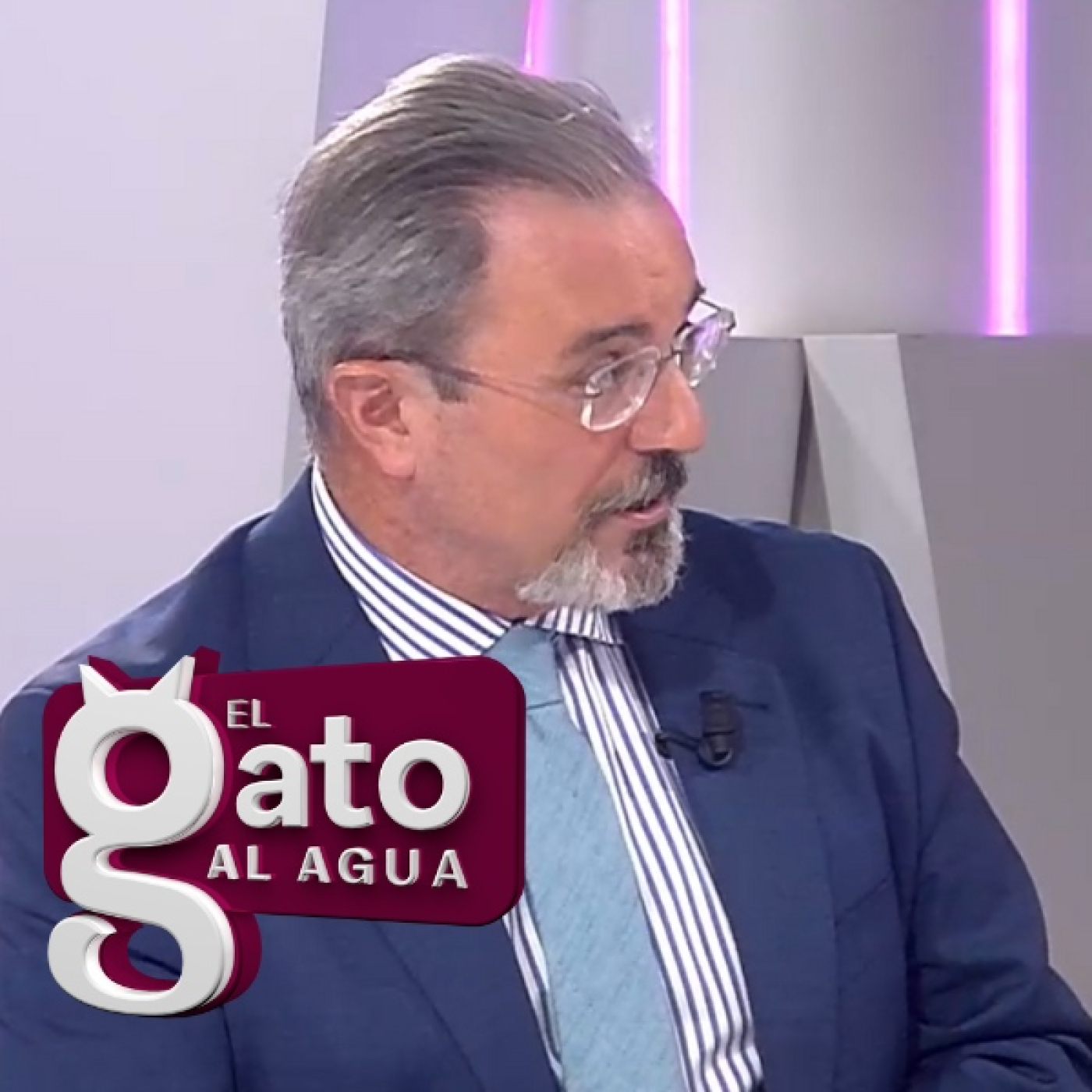 El Gato al agua