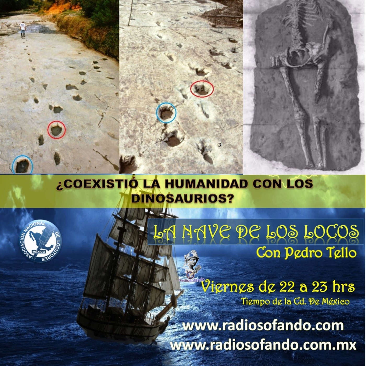 La Nave de los Locos_COEXISTIO LA HUMANIDAD CON LOS DINOSAURIOS_14-04-23 episode artwork