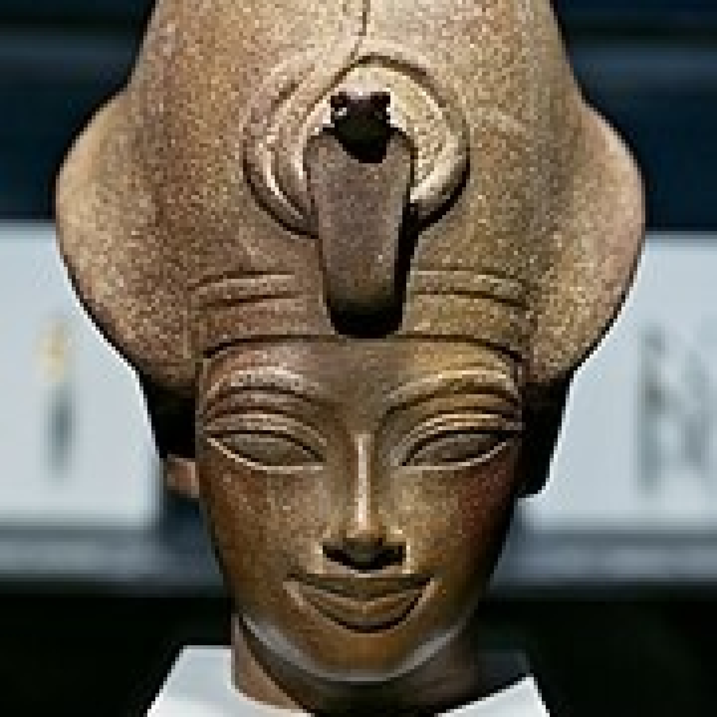 Descubrimiento de 60 momias en el yacimiento egipcio de Amenhotep Hui. Teresa Bedman y F. Martín. 578 LFDLC