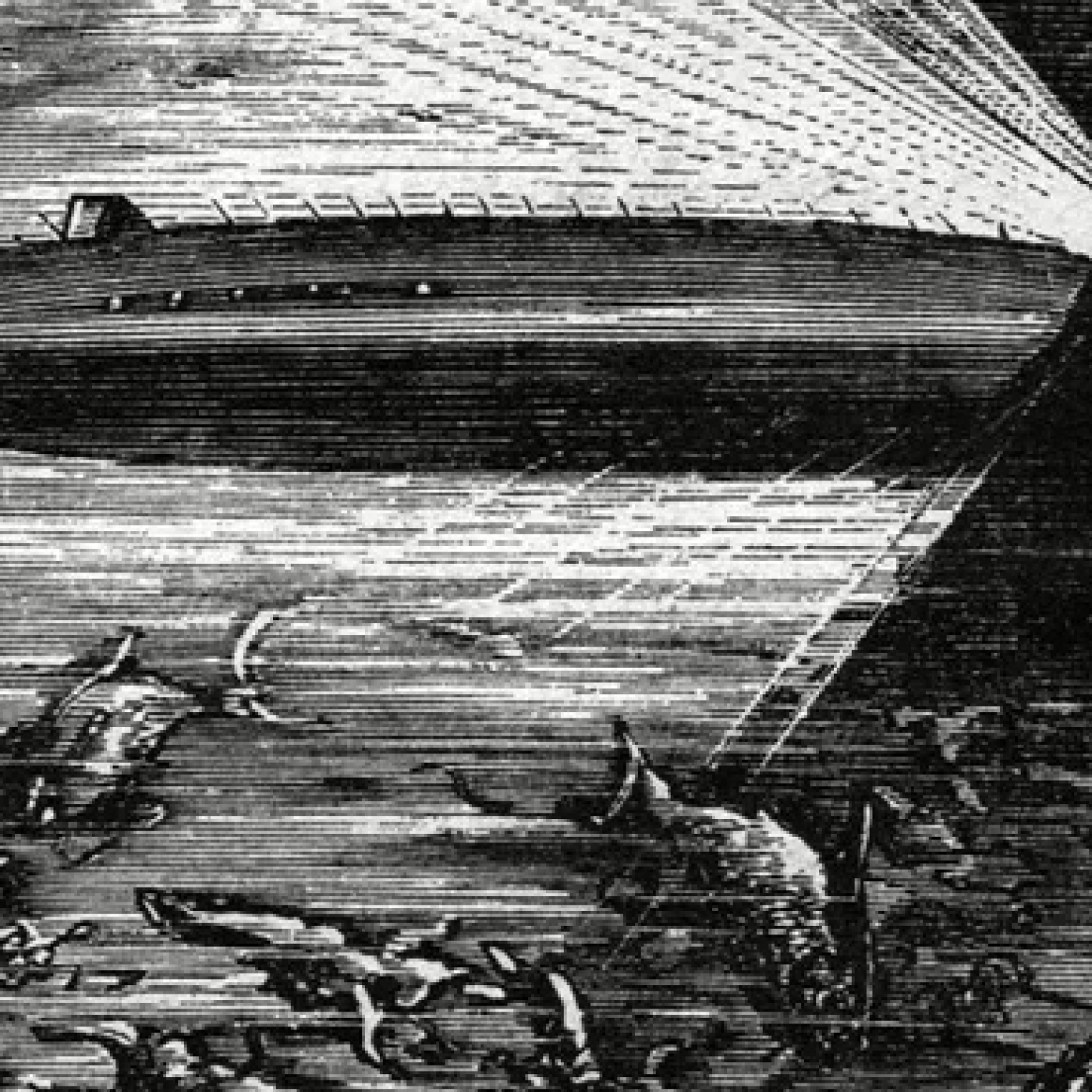 Verne y Wells Ciencia Ficción: 20.000 Leguas de Viaje Submarino, de Julio Verne, tercera y última parte