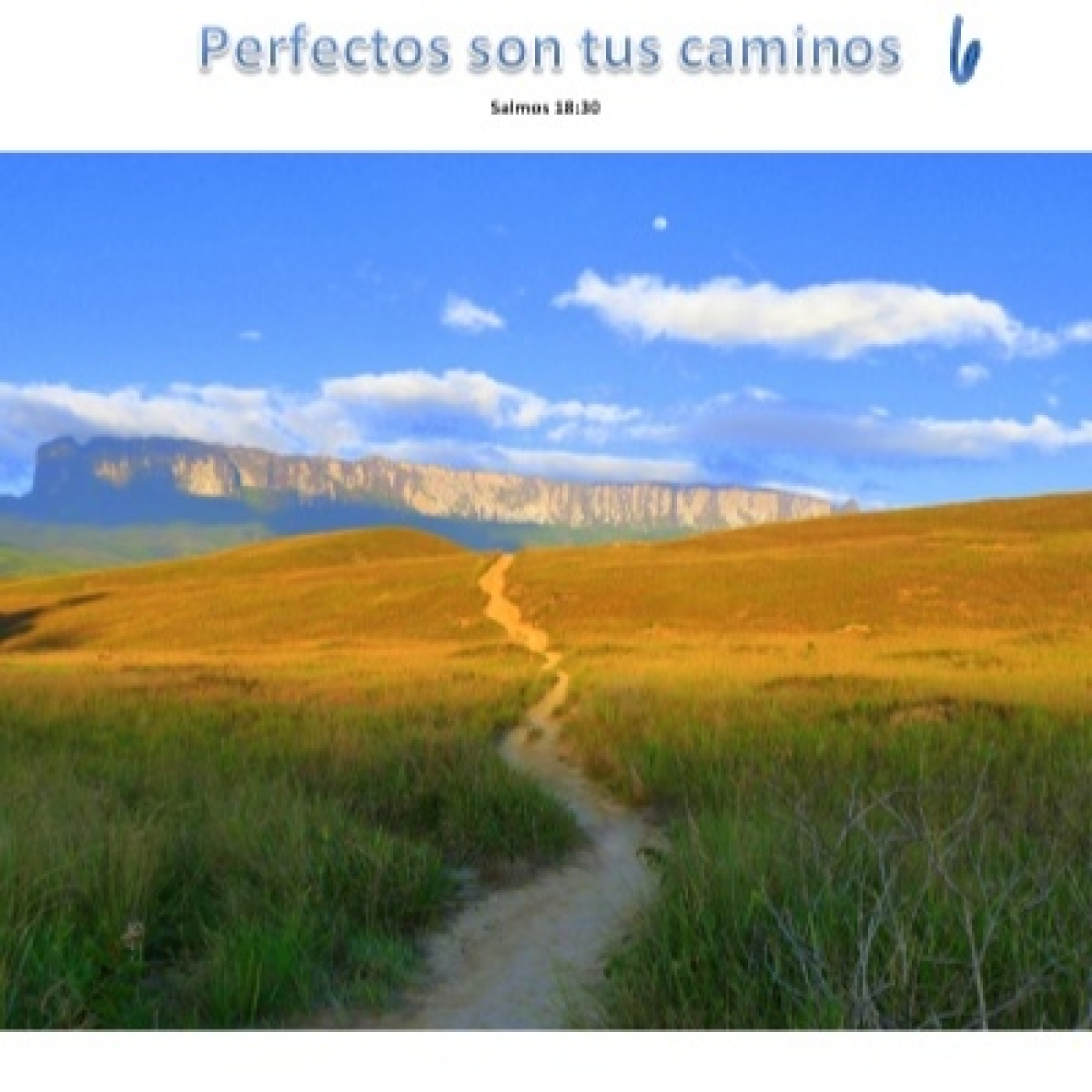 Circuncisión episode artwork