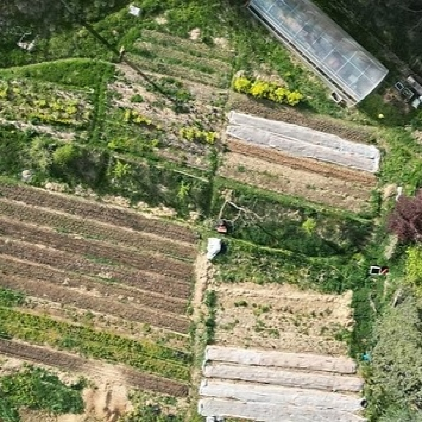 El Magazín de La Veu