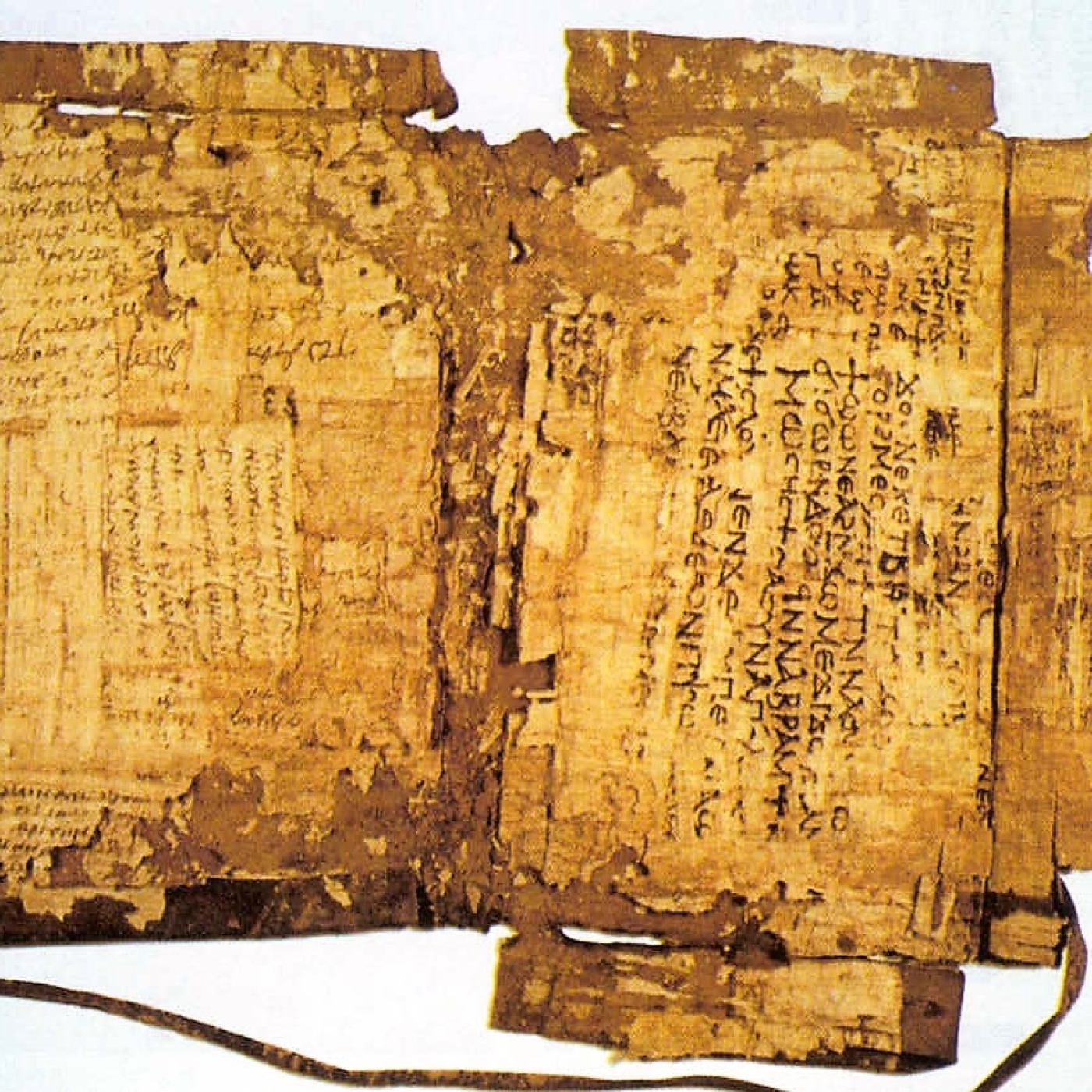 La Fábrica de la Ciencia (LFDLC)