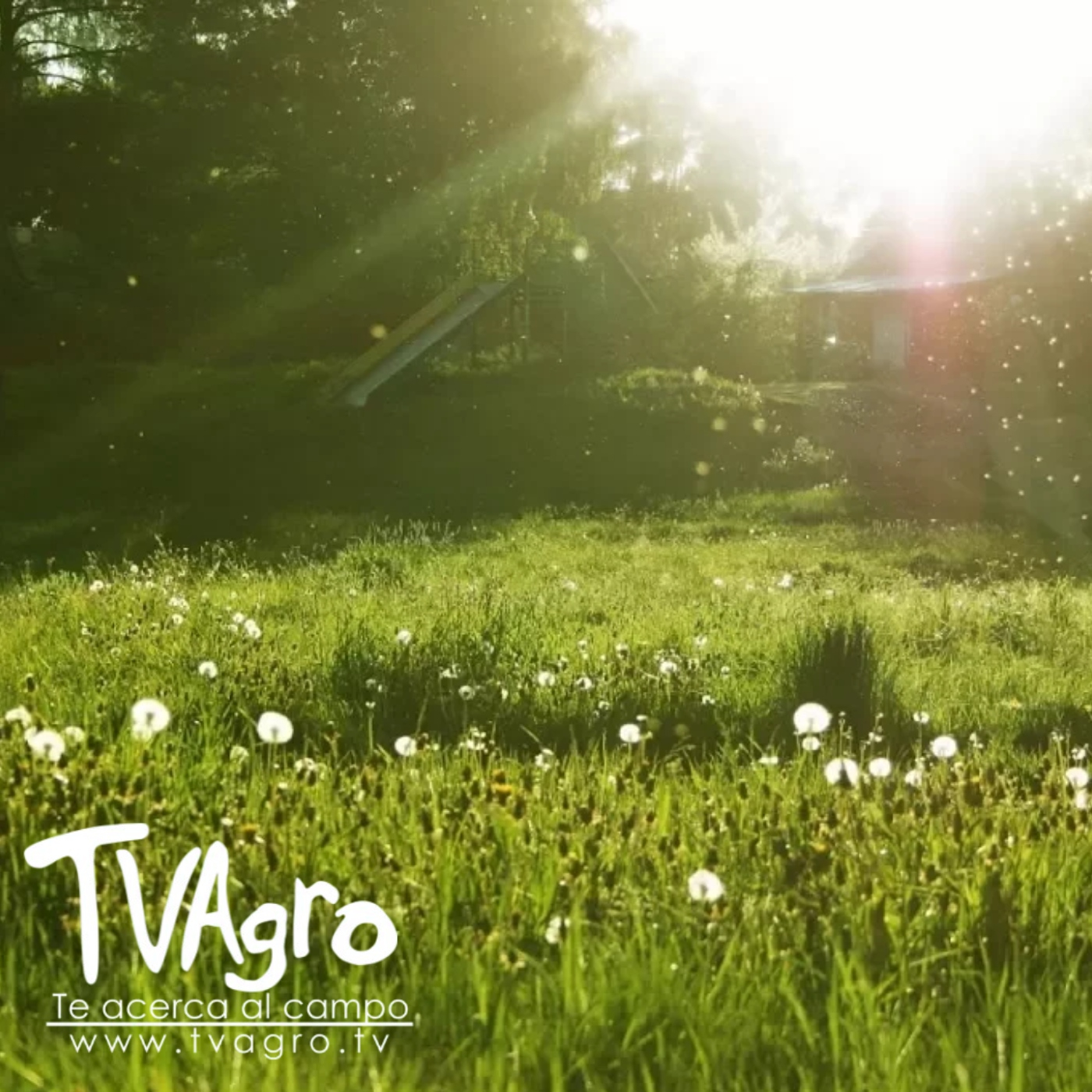 TV AGRO