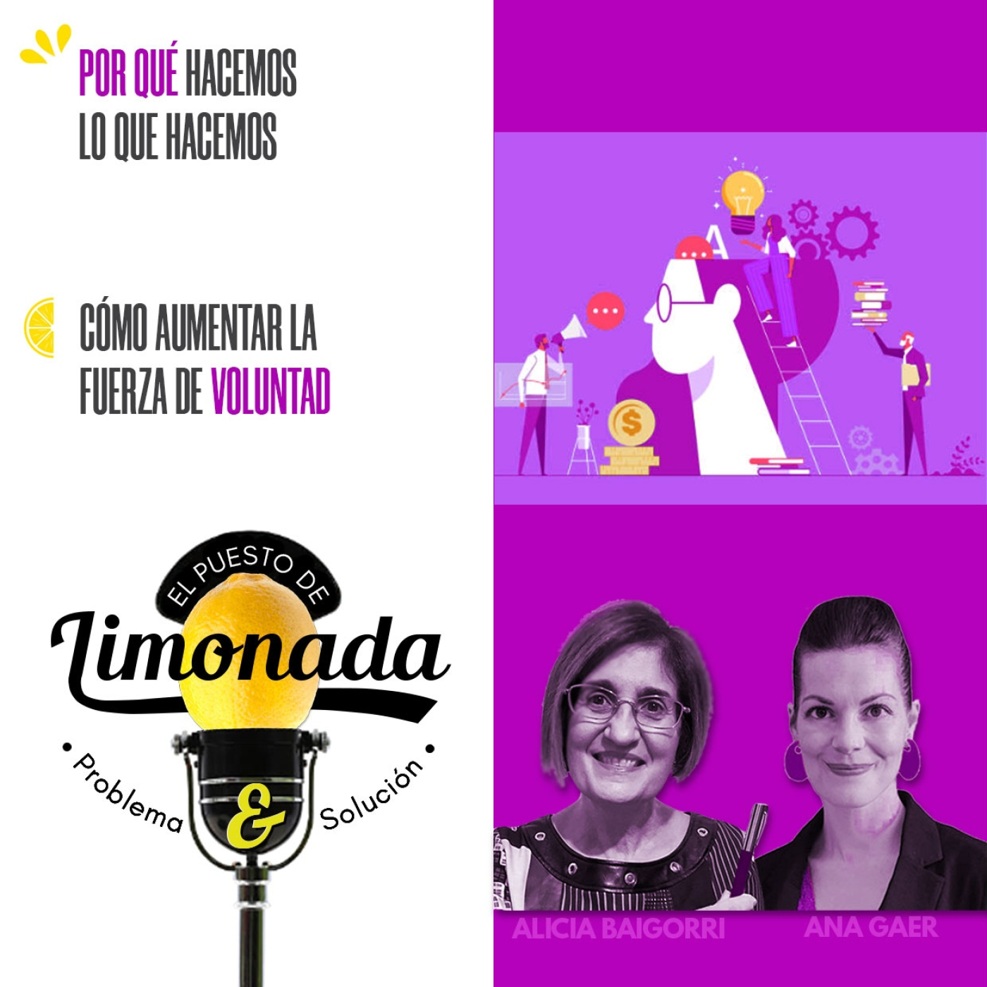 El Puesto de Limonada de P&S - Problema y Solución